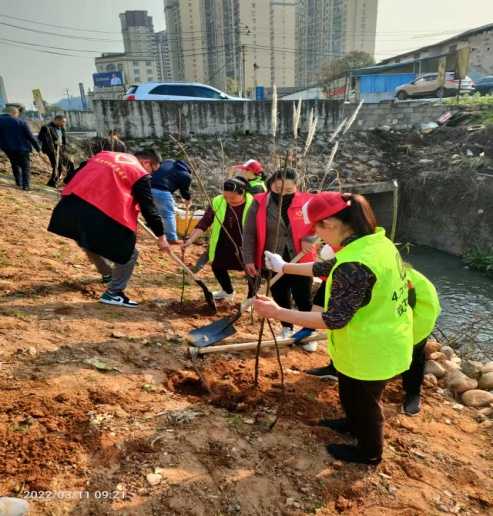 无码AV免费精品一区二区三区